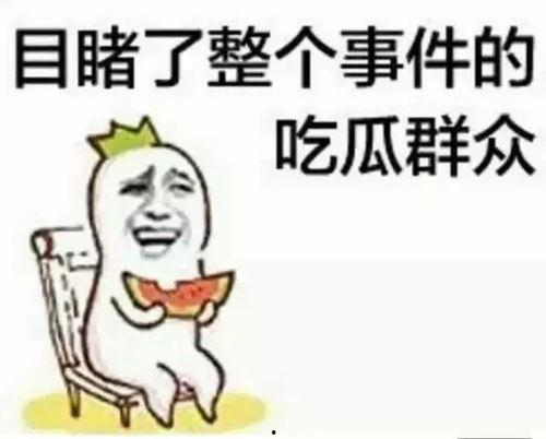 聊娱乐的吃瓜群众评价怎么写,揭秘明星幕后故事