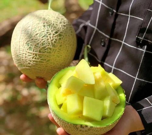 吃瓜娱乐圈有新瓜吃了