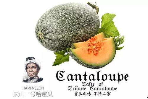 吃瓜的娱乐号,吃瓜群众视角下的明星幕后故事