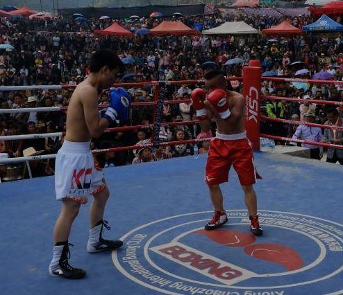 吃瓜娱乐拳击比赛视频大全