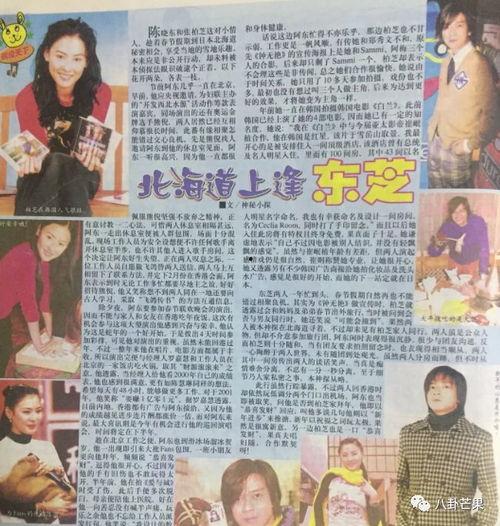 在娱乐圈吃瓜爆料的小说推荐,瓜田李下，揭秘明星背后的秘密