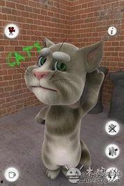 吃娱乐瓜tom猫的微博,Tom猫微博揭秘娱乐圈幕后故事