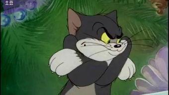 吃娱乐瓜tom猫的微博,Tom猫微博揭秘娱乐圈幕后故事