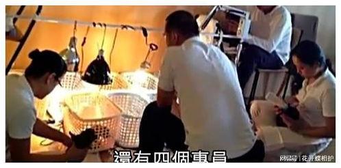 娱乐圈现场吃瓜是真的吗,真相还是谣言？